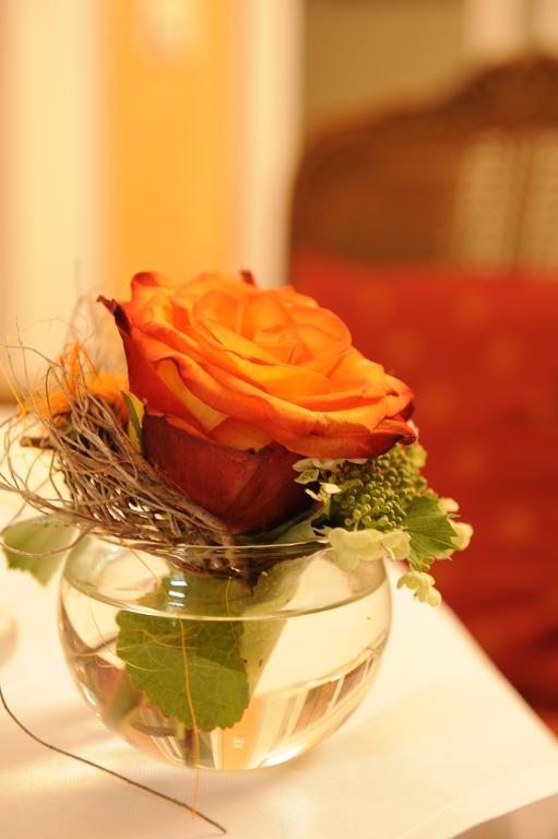 Hotel Boutique Splendid-dollmann 3*
